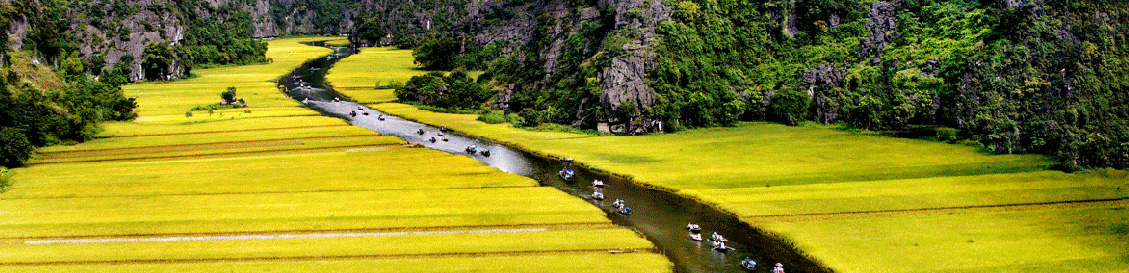 Banner Du lịch