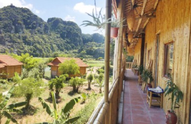 HÀM RỒNG HOMESTAY