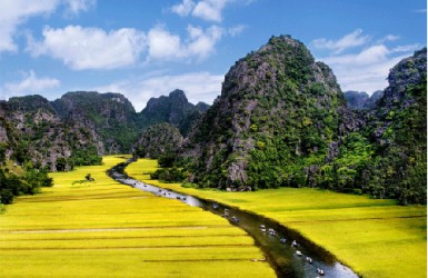 Ngành Nông nghiệp và Phát triển nông thôn Ninh Bình khẳng định vị thế