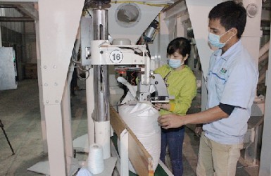 Ninh Bình sản xuất nông nghiệp theo hướng hàng hóa